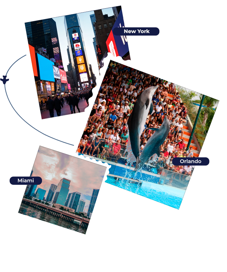 Imagem Section